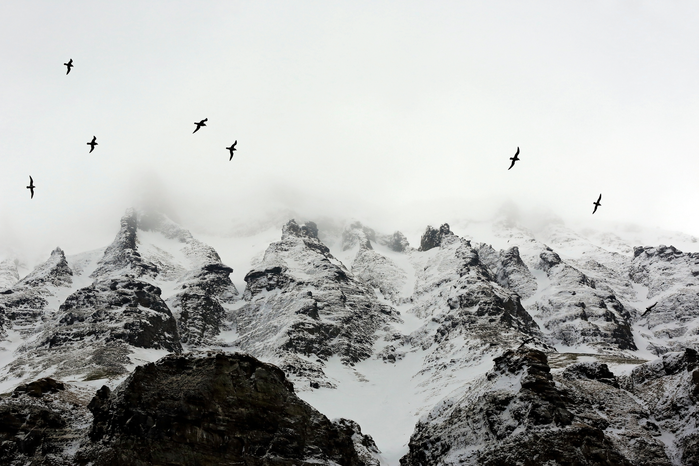 boltodden, spitsbergen (4).webp
